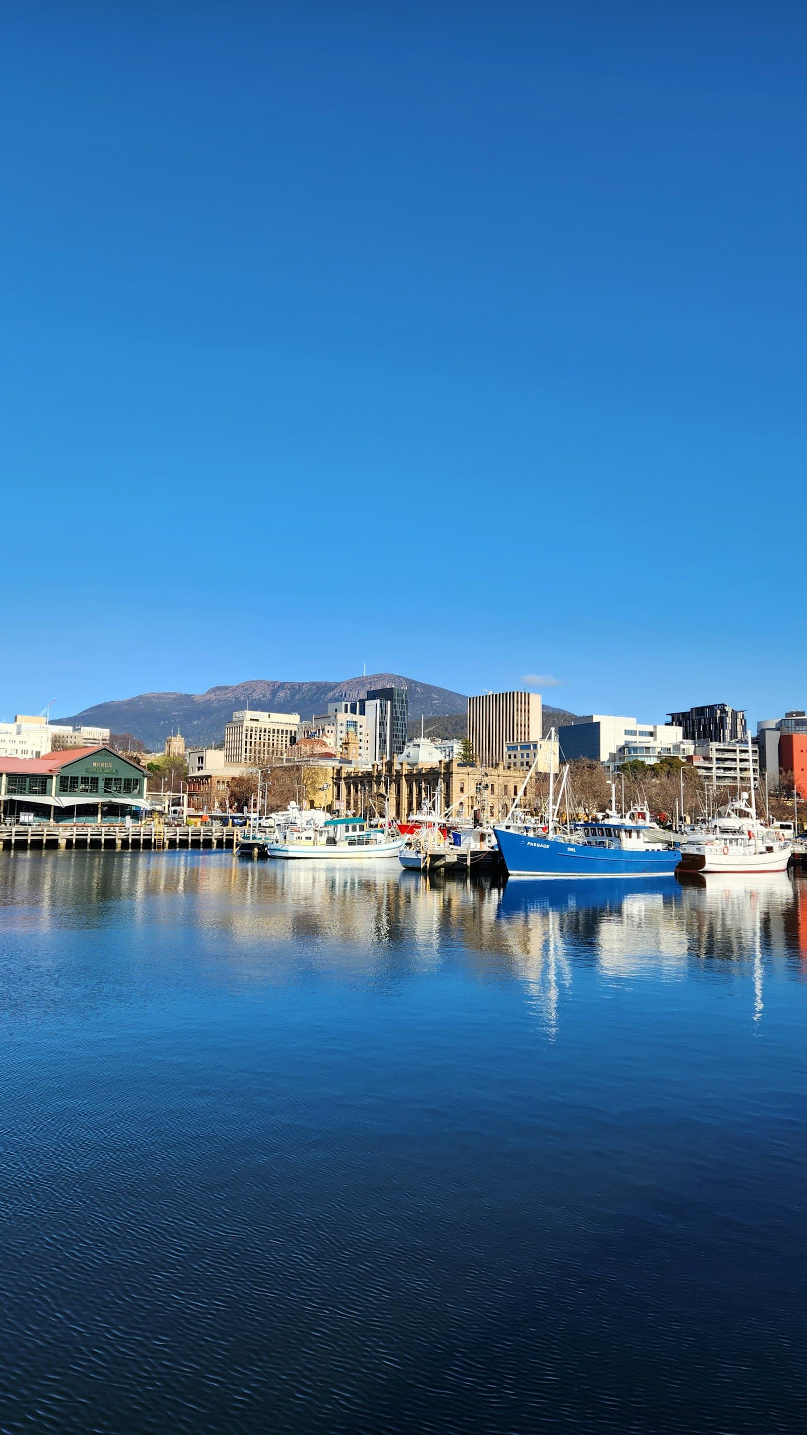 Hobart and Tasmania Property Market 2026: Steady After the Boom